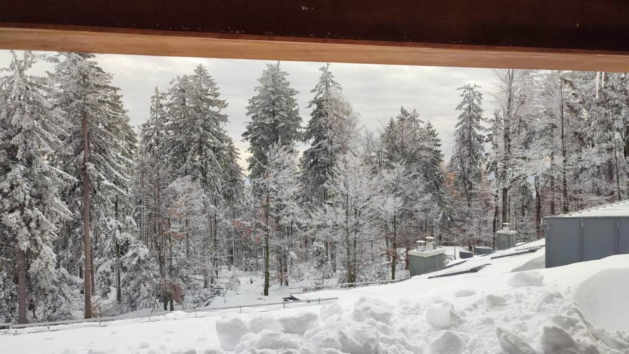 Pohorje Pearl Lux, 2-Floor Apartment Hočko Pohorje Exteriör bild
